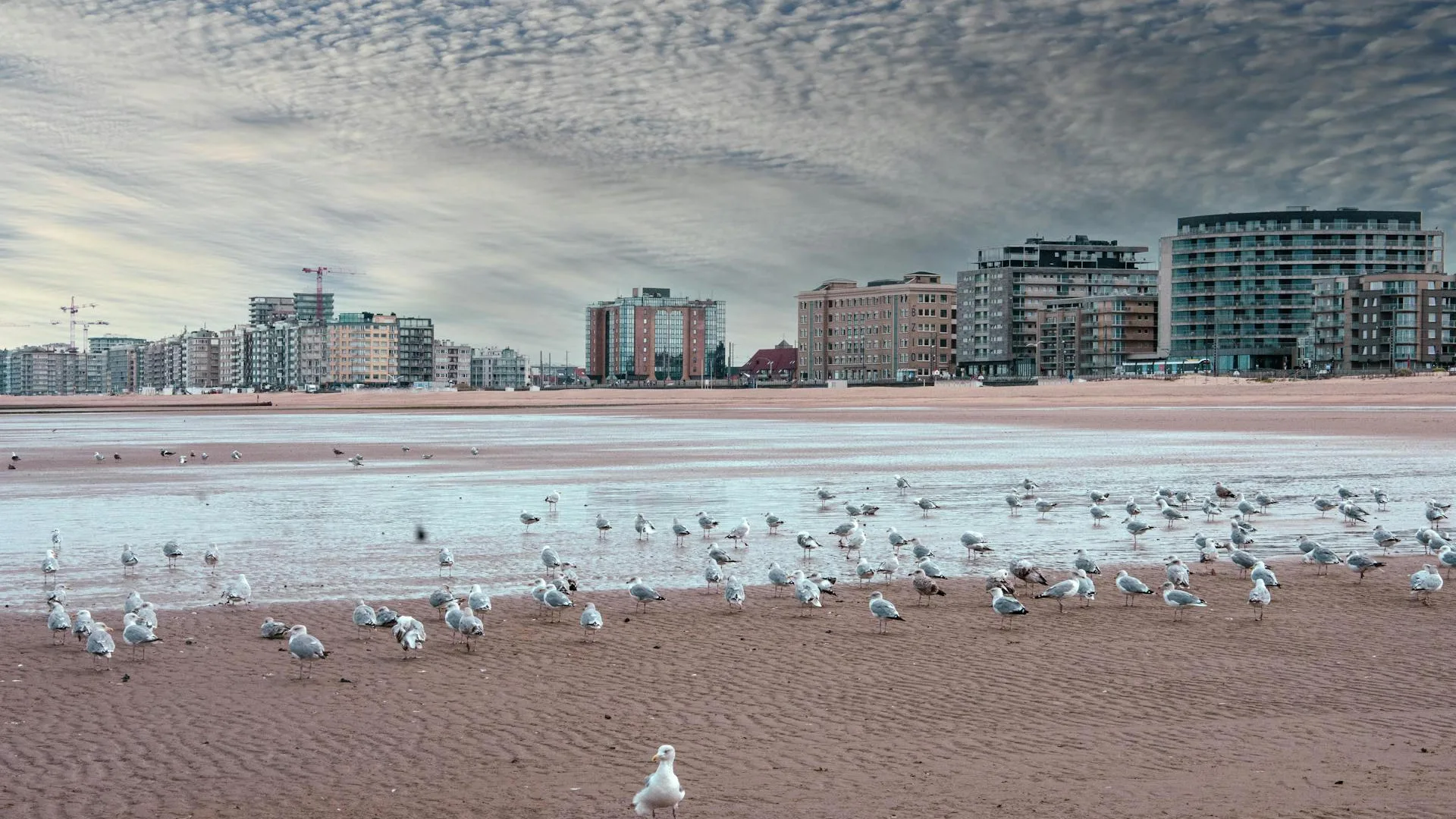 City Game Ostend Beach