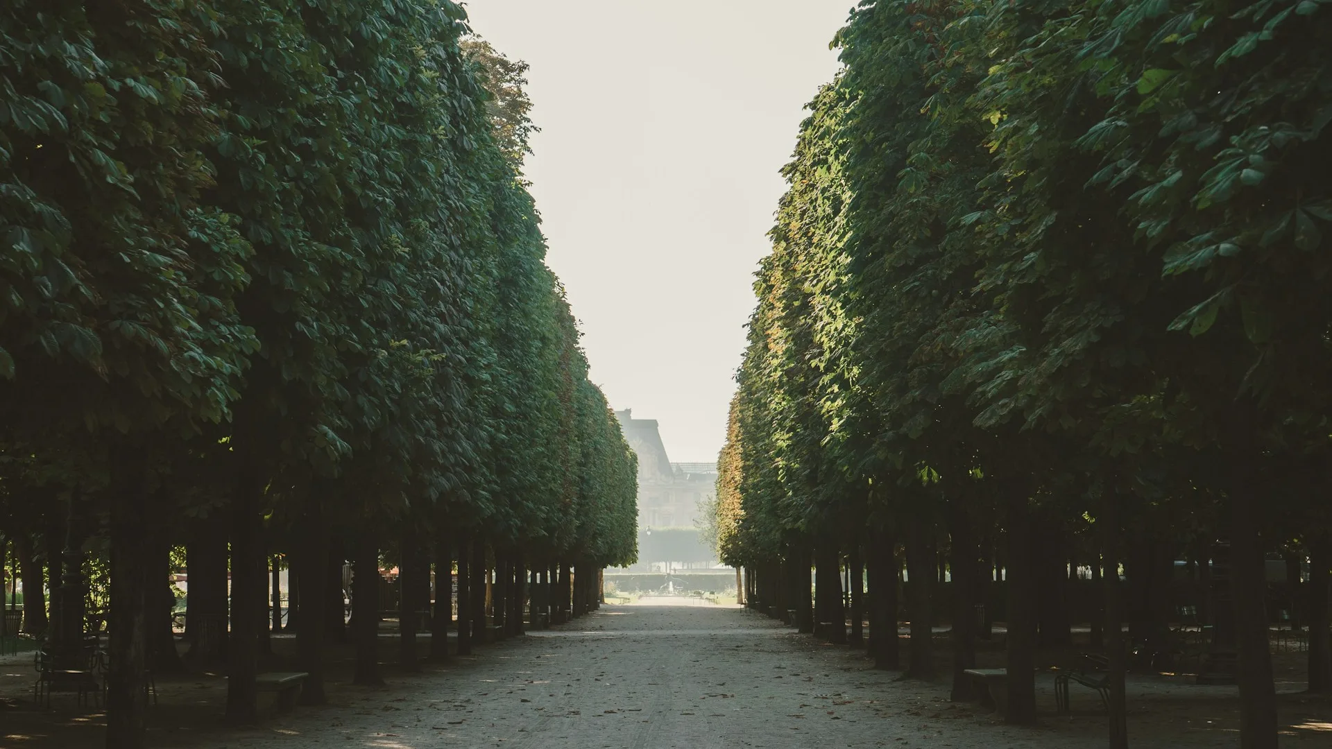 City Game Paris Tuileries Gardens trees